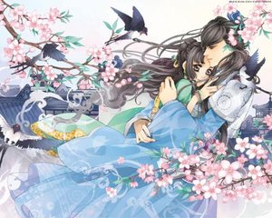 91含羞草实验所